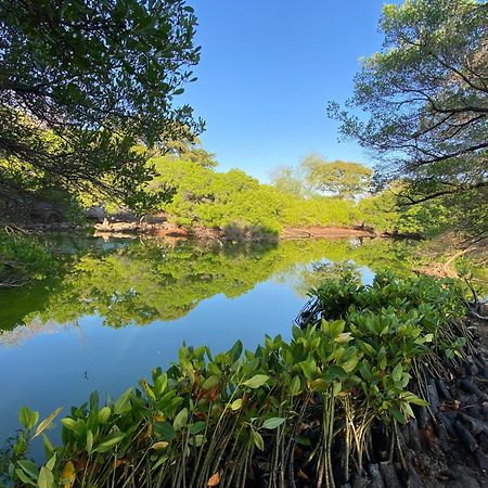 Badini Homestay Пемутеран Экстерьер фото